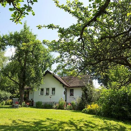 Ferienhaus Am Alten Bahndamm Валдзасен Екстериор снимка
