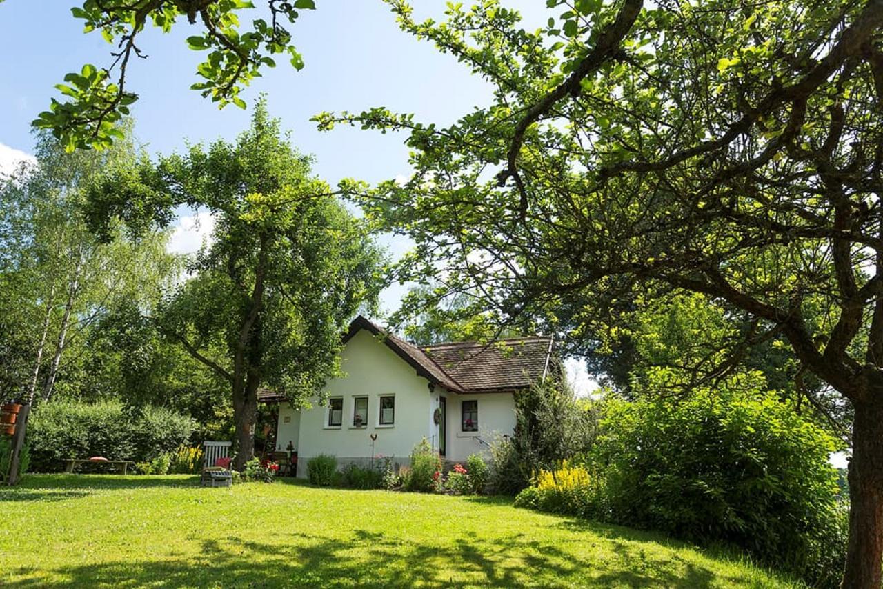 Ferienhaus Am Alten Bahndamm Валдзасен Екстериор снимка